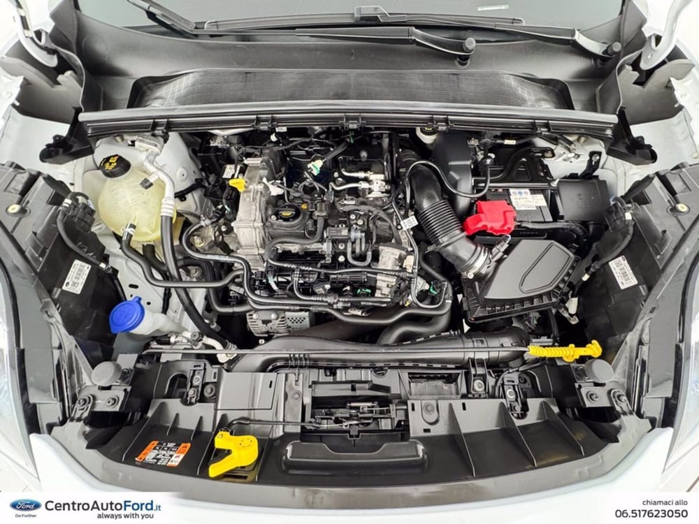 Ford Puma usata a Roma (12)