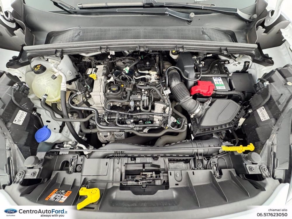 Ford Puma usata a Roma (12)