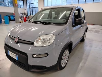 Fiat Panda 1.0 firefly hybrid s&amp;s 70cv del 2022 usata a Cesena