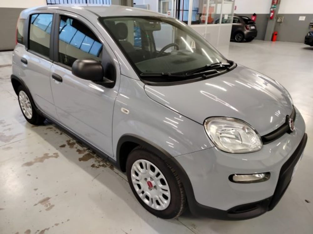 Fiat Panda usata a Forlì-Cesena (10)