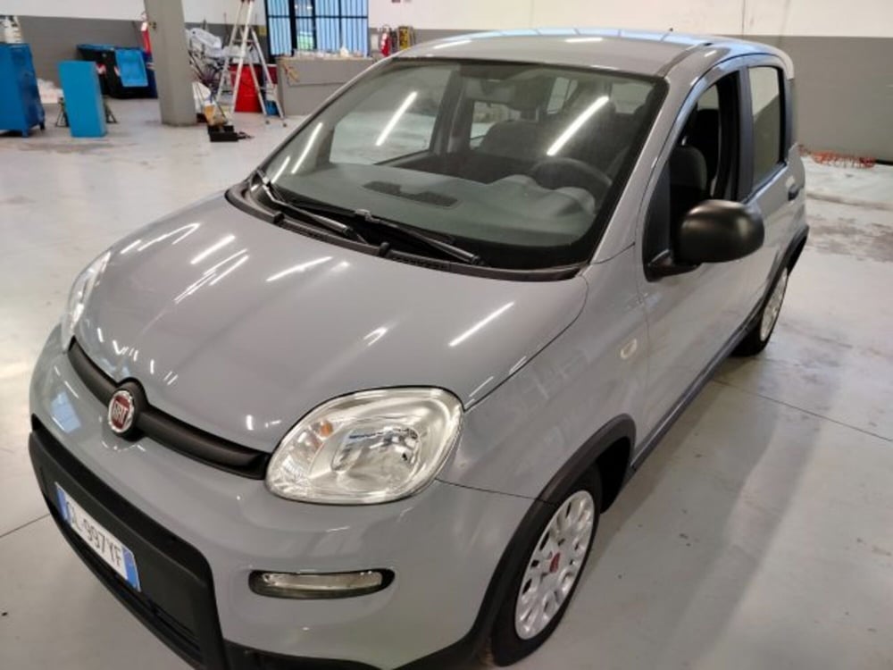 Fiat Panda usata a Forlì-Cesena (11)