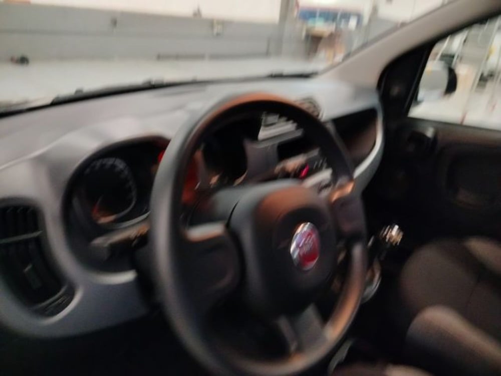 Fiat Panda usata a Forlì-Cesena (16)