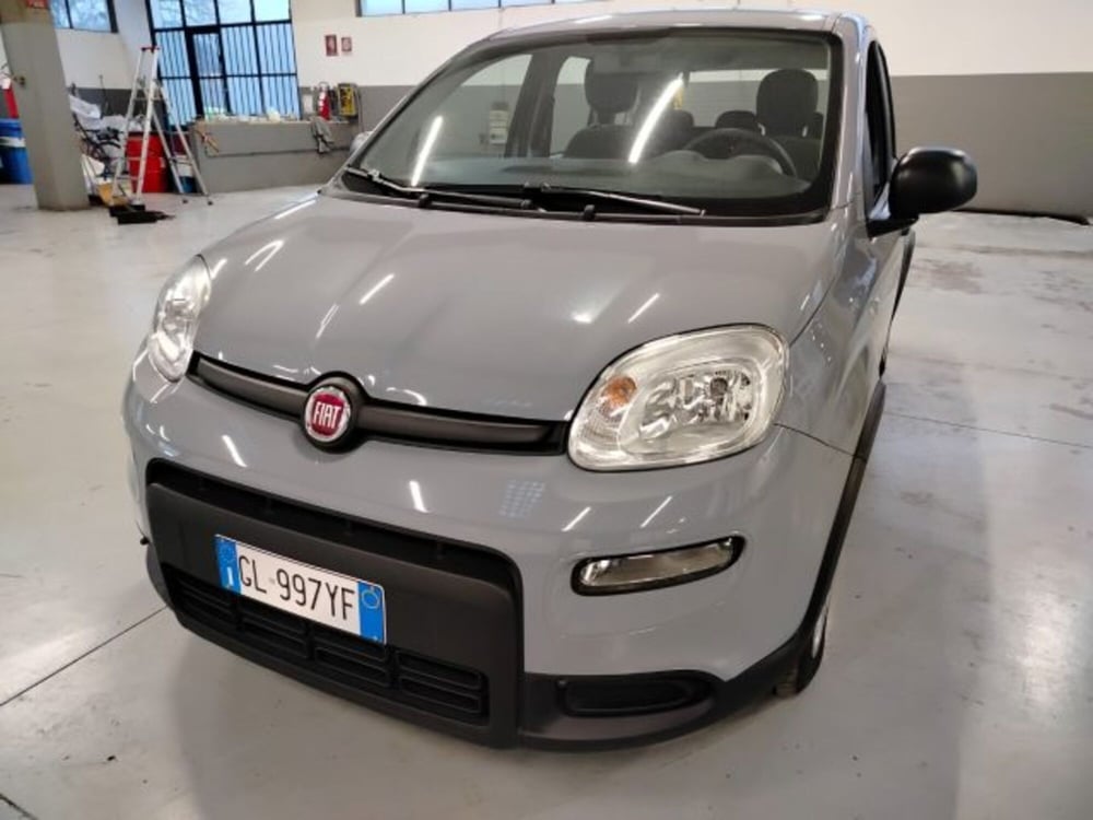 Fiat Panda usata a Forlì-Cesena (2)