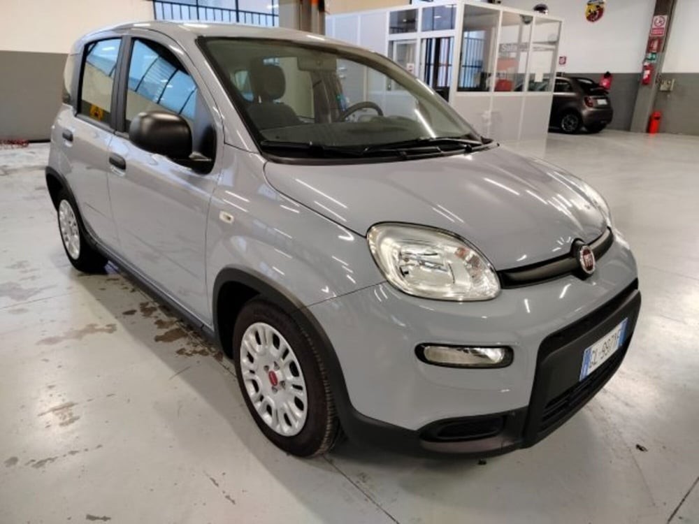 Fiat Panda usata a Forlì-Cesena (3)