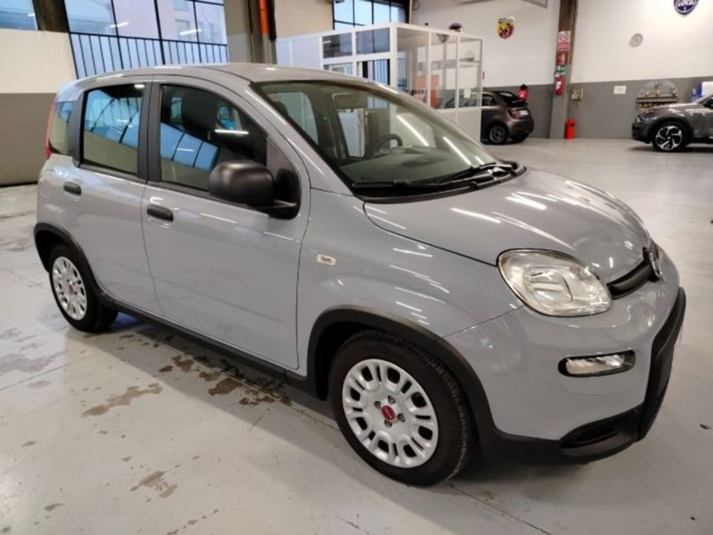 Fiat Panda usata a Forlì-Cesena (4)