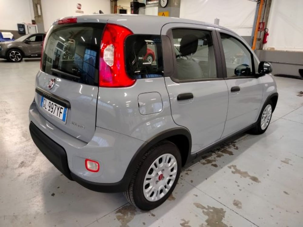 Fiat Panda usata a Forlì-Cesena (5)