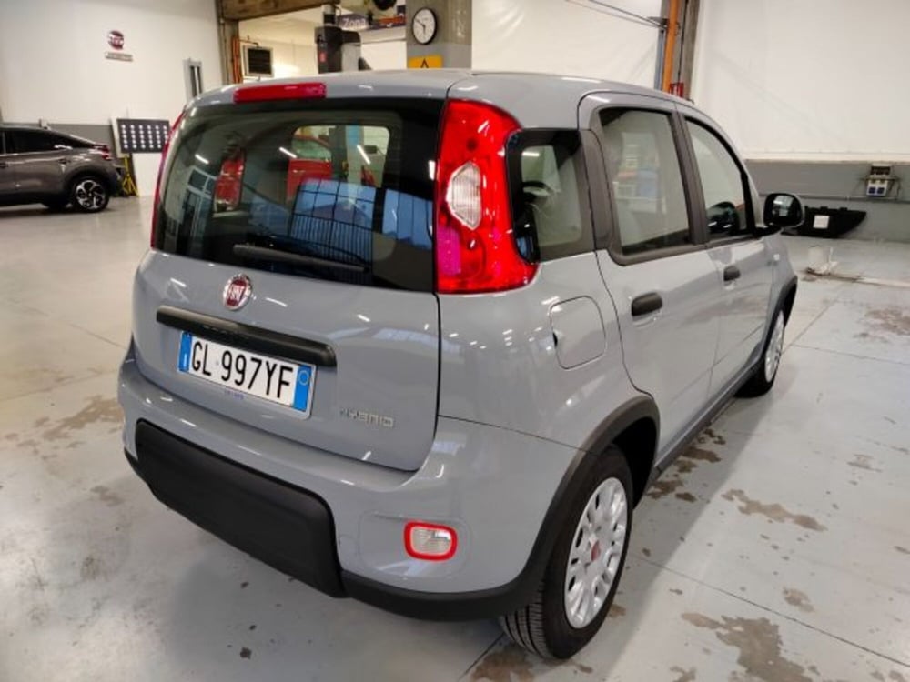 Fiat Panda usata a Forlì-Cesena (6)