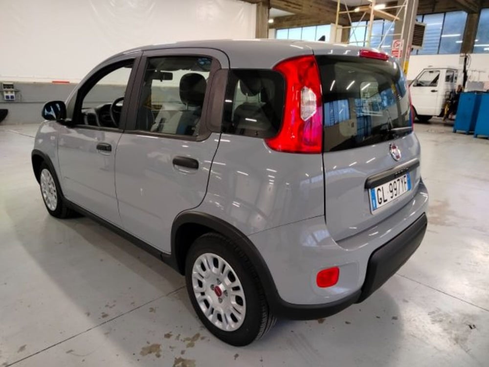 Fiat Panda usata a Forlì-Cesena (7)