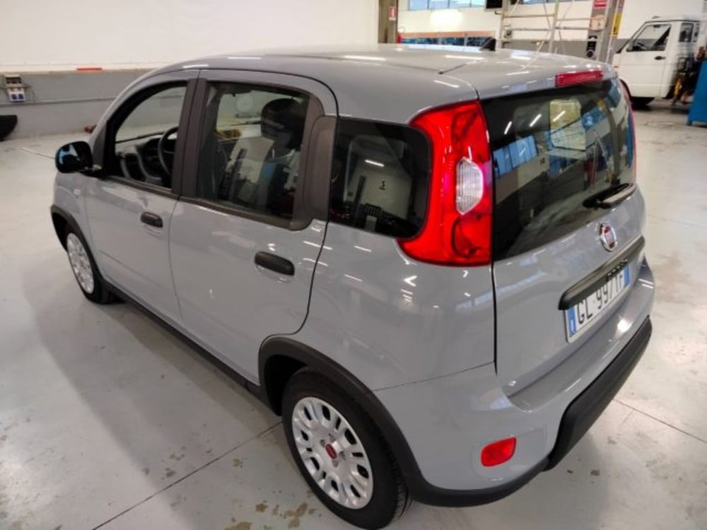 Fiat Panda usata a Forlì-Cesena (8)