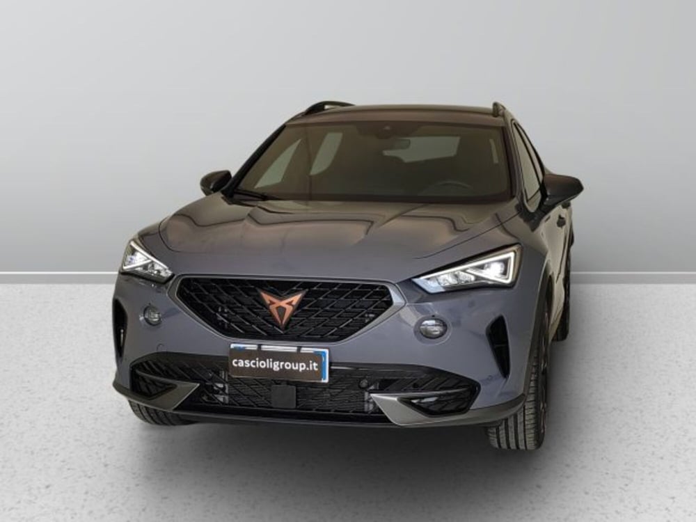 Cupra Formentor usata a Teramo