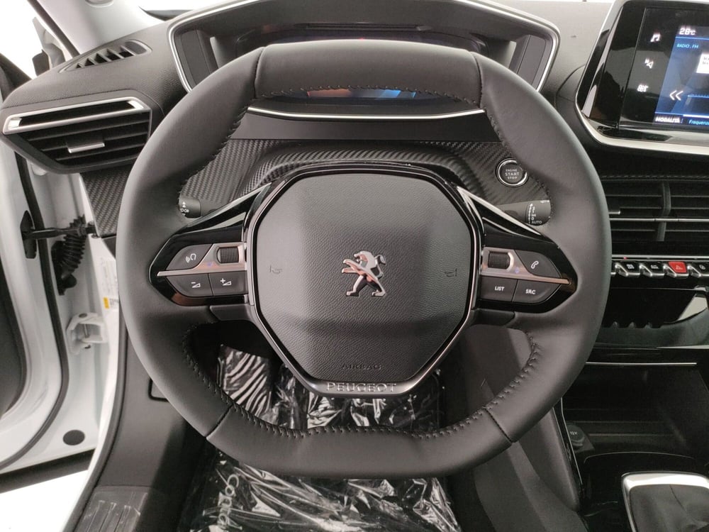 Peugeot 2008 usata a Caserta (11)