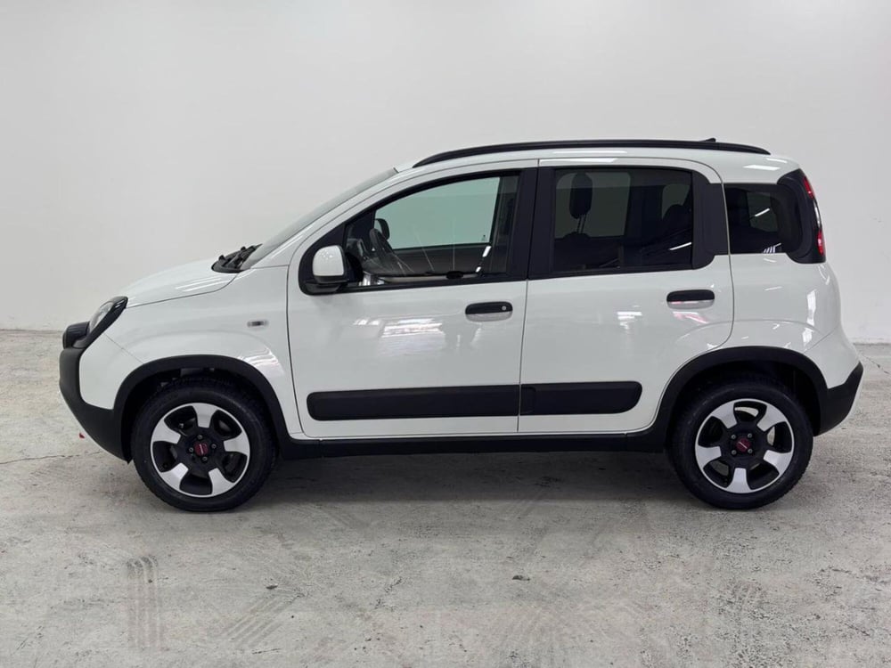 Fiat Panda Cross usata a Como (8)