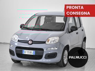 Fiat Panda 1.0 FireFly S&amp;S Hybrid Easy del 2021 usata a Prato