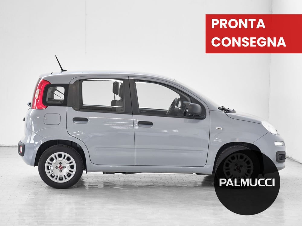 Fiat Panda usata a Prato (2)