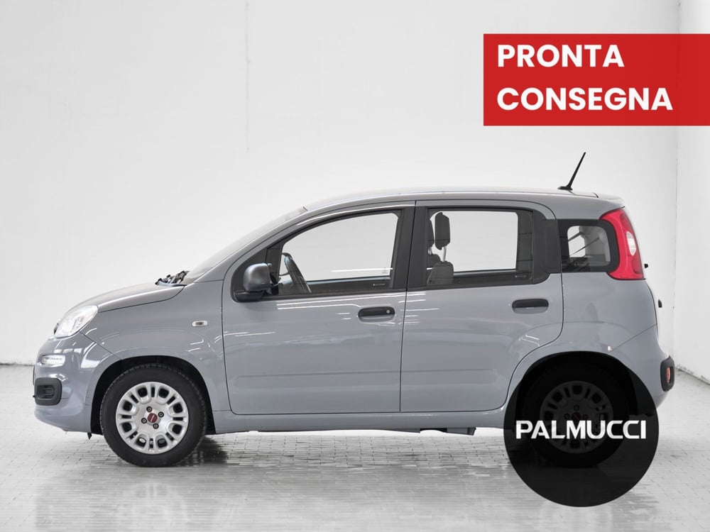 Fiat Panda usata a Prato (3)