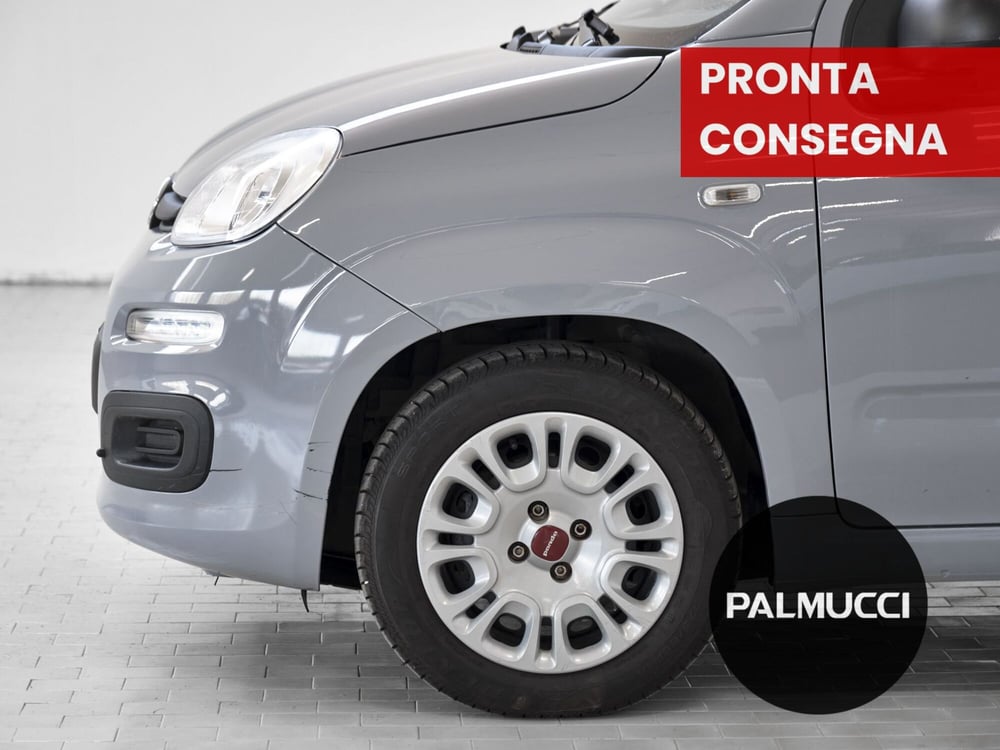 Fiat Panda usata a Prato (5)