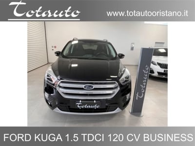 Ford Kuga 1.5 TDCI 120 CV S&amp;S 2WD Business del 2018 usata a Ghilarza
