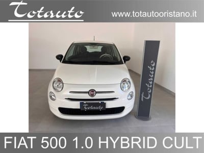 Fiat 500 1.0 Hybrid Cult del 2021 usata a Ghilarza
