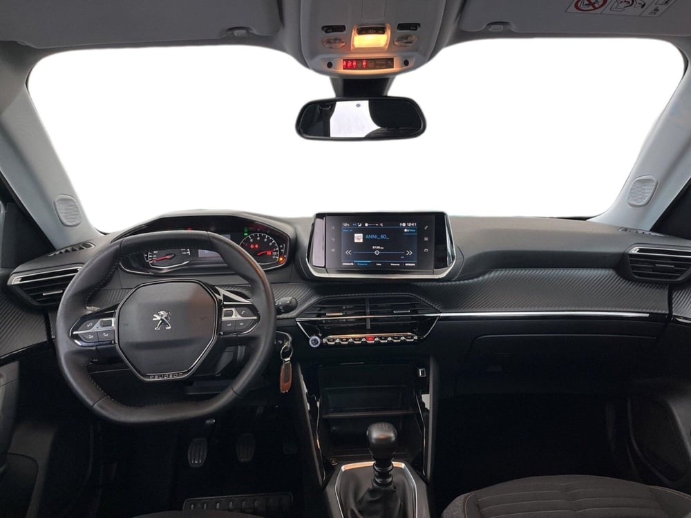 Peugeot 2008 usata a Torino (11)