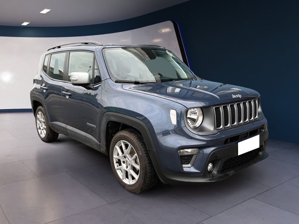 Jeep Renegade usata a Torino (3)