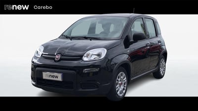 Fiat Panda 1.0 firefly hybrid s&amp;s 70cv 5p.ti del 2023 usata a Parma