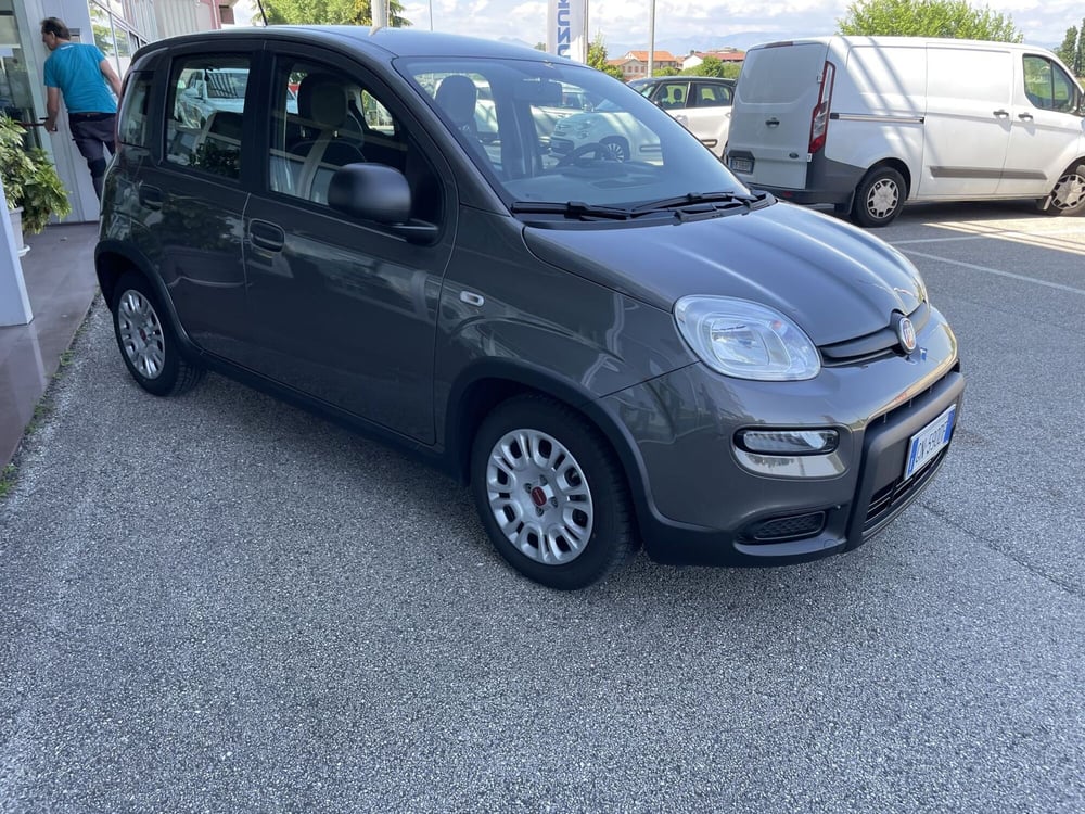 Fiat Panda Cross usata a Vicenza (3)