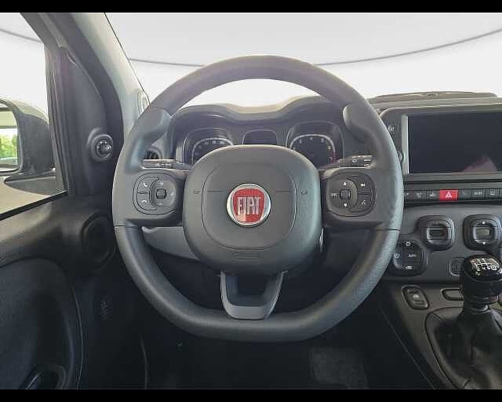 Fiat Panda Cross usata a Roma (7)