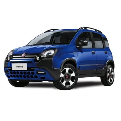 Fiat Panda 1.0 FireFly S&amp;S Hybrid City Cross del 2020 usata a Messina