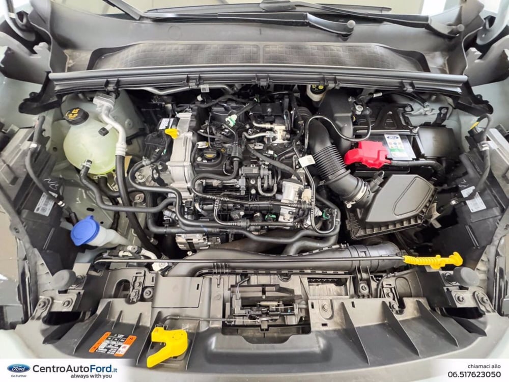Ford Puma nuova a Roma (11)