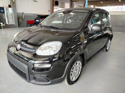 Fiat Panda 1.0 firefly hybrid s&amp;s 70cv del 2024 usata a Cesena