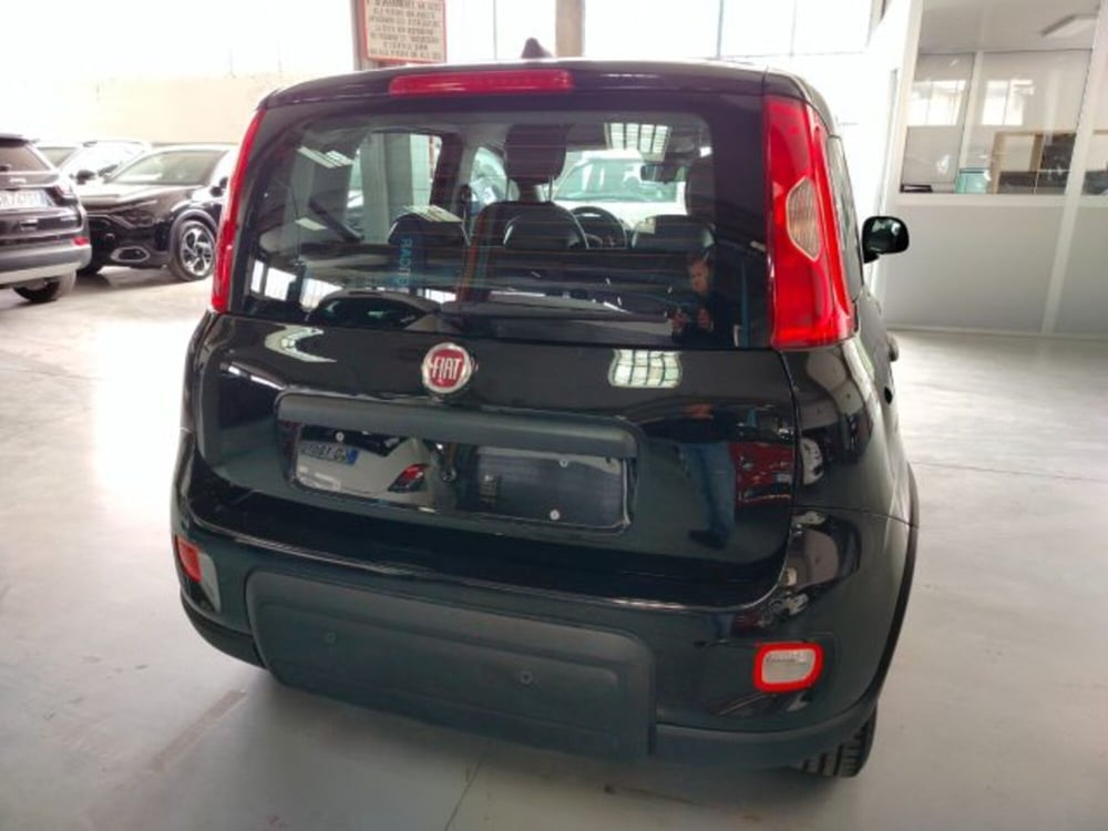 Fiat Panda usata a Forlì-Cesena (10)