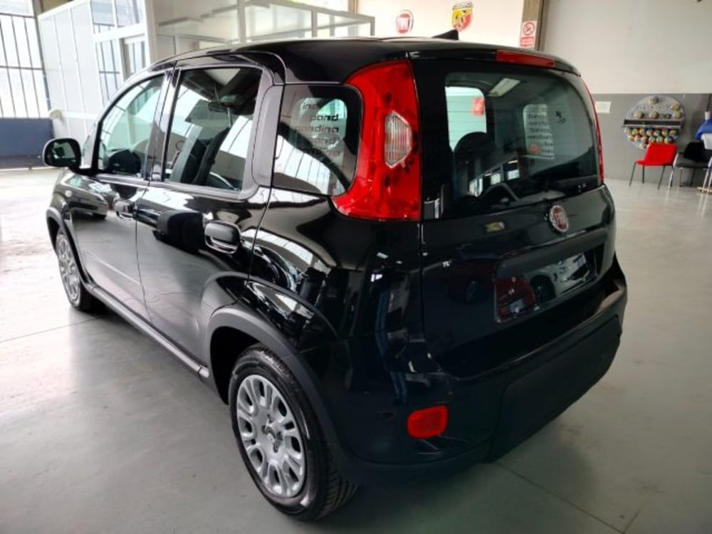 Fiat Panda usata a Forlì-Cesena (11)