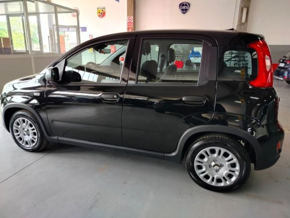 Fiat Panda usata a Forlì-Cesena (12)