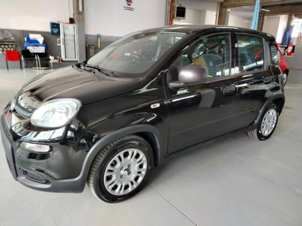 Fiat Panda usata a Forlì-Cesena (13)