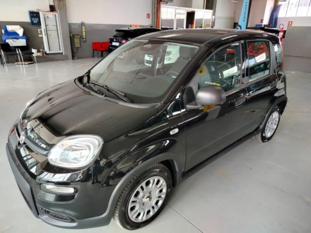 Fiat Panda usata a Forlì-Cesena (14)