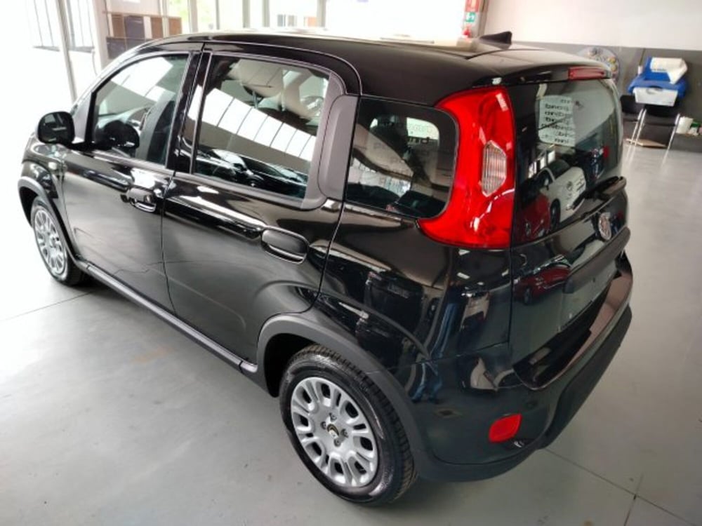 Fiat Panda usata a Forlì-Cesena (15)