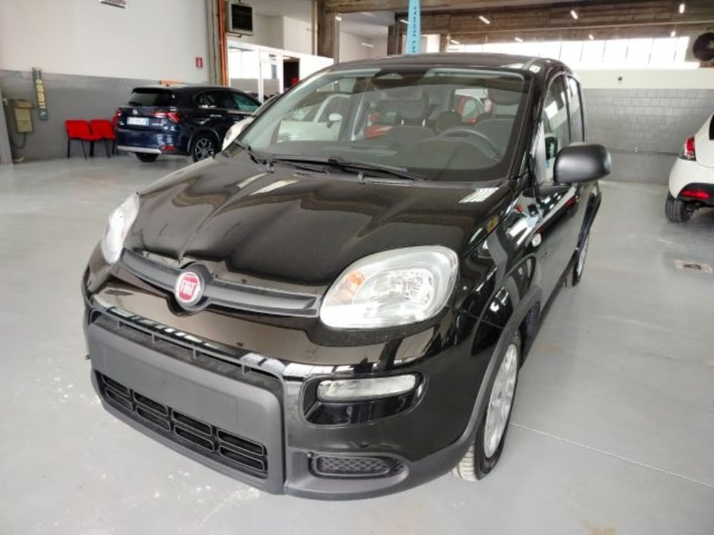 Fiat Panda usata a Forlì-Cesena (2)