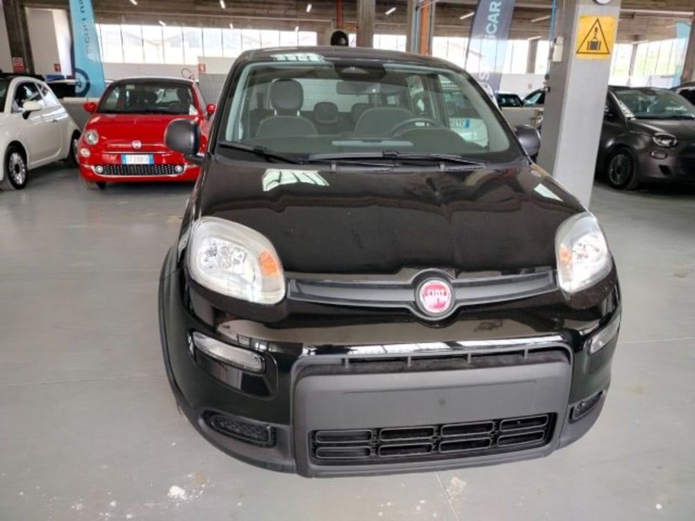 Fiat Panda usata a Forlì-Cesena (3)