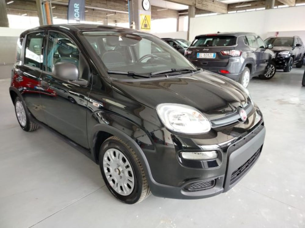 Fiat Panda usata a Forlì-Cesena (5)