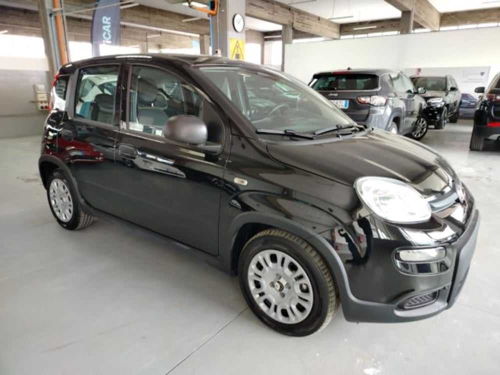 Fiat Panda usata a Forlì-Cesena (6)