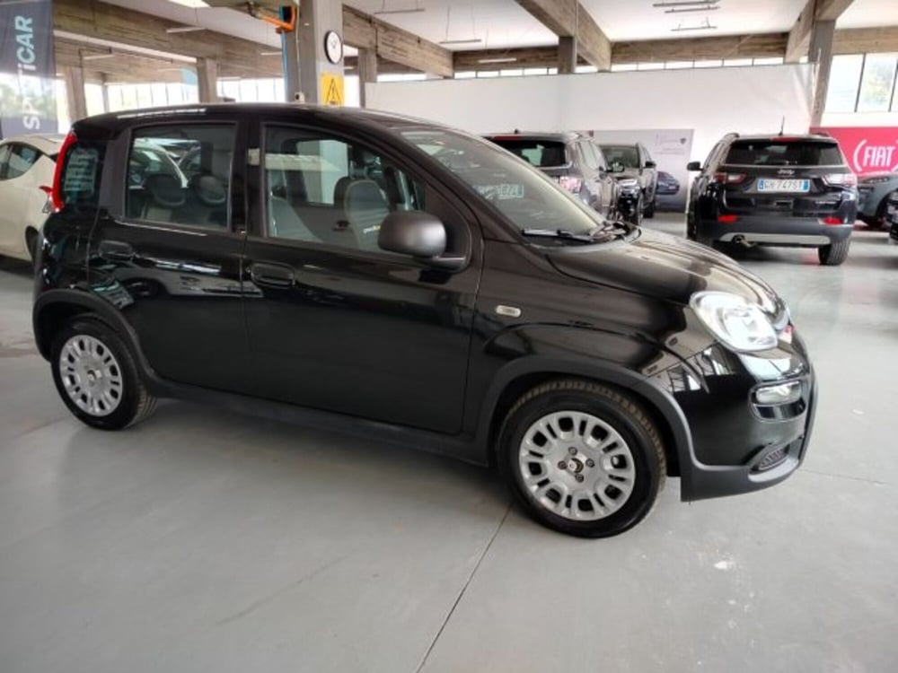 Fiat Panda usata a Forlì-Cesena (7)