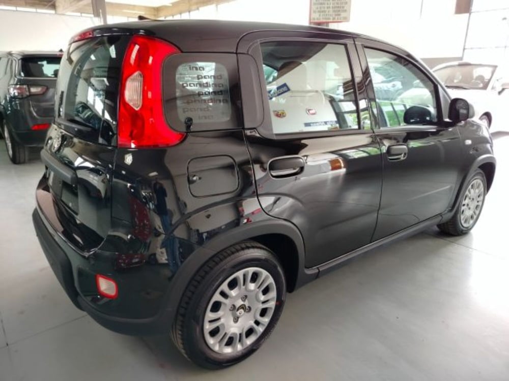 Fiat Panda usata a Forlì-Cesena (8)