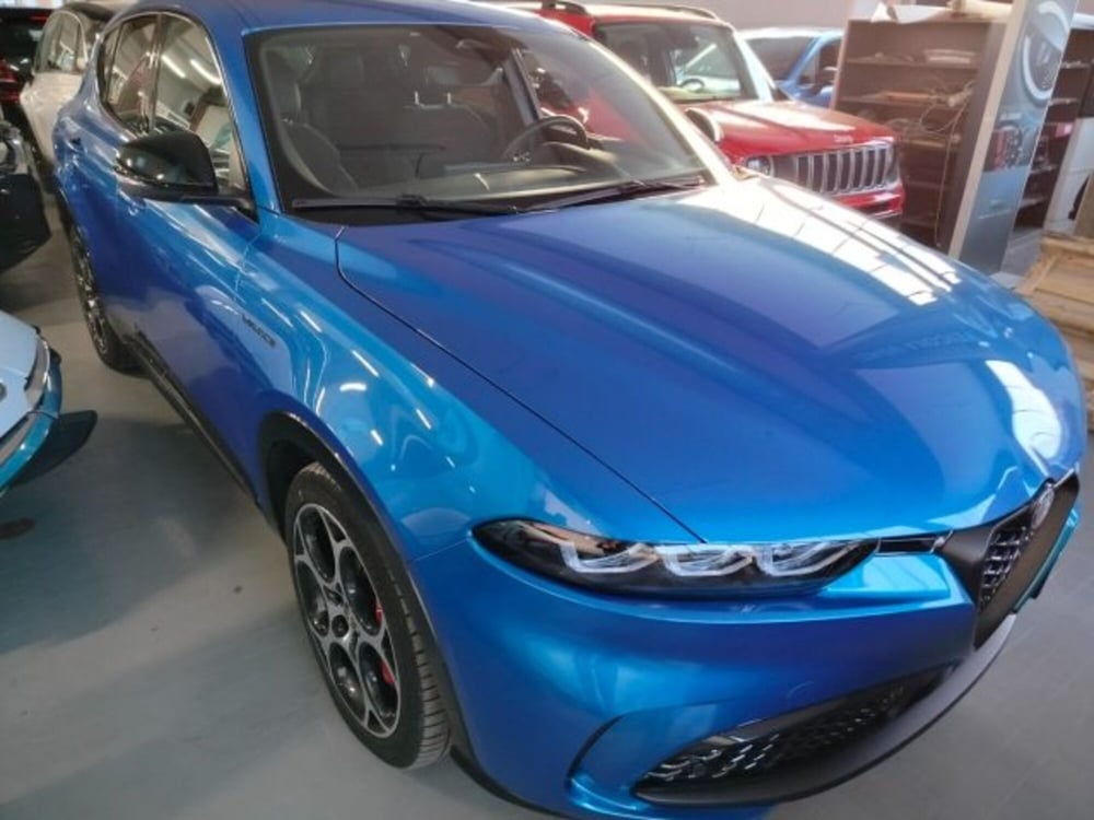 Alfa Romeo Tonale usata a Forlì-Cesena (11)
