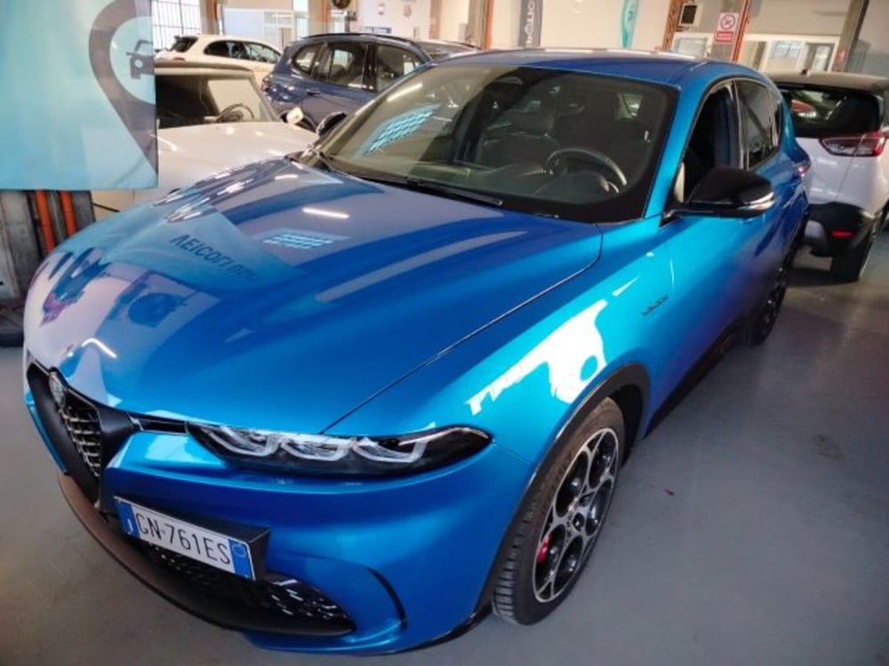 Alfa Romeo Tonale usata a Forlì-Cesena (13)