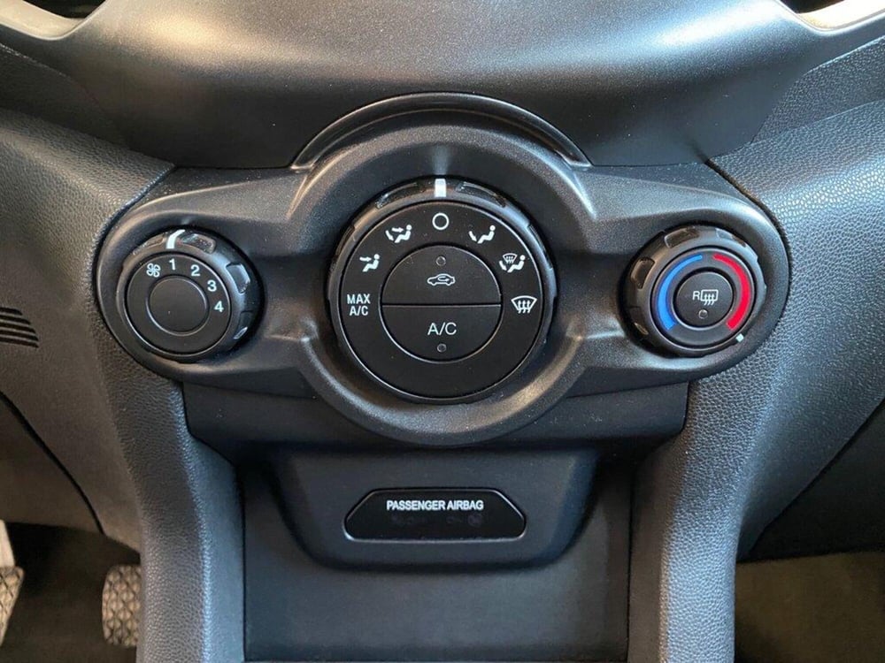 Ford EcoSport usata a Torino (11)
