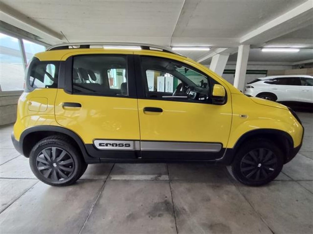 Fiat Panda Cross usata a Torino (6)