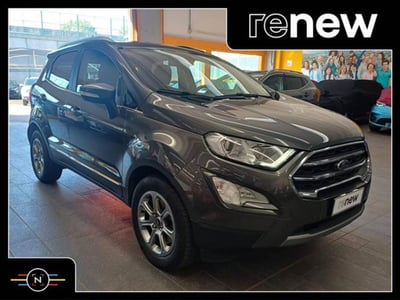 Ford EcoSport 1.0 EcoBoost 100 CV Titanium del 2019 usata a Vaiano Cremasco