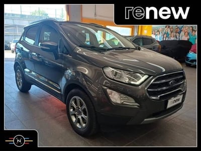 Ford EcoSport 1.0 EcoBoost 100 CV Titanium del 2019 usata a Vaiano Cremasco