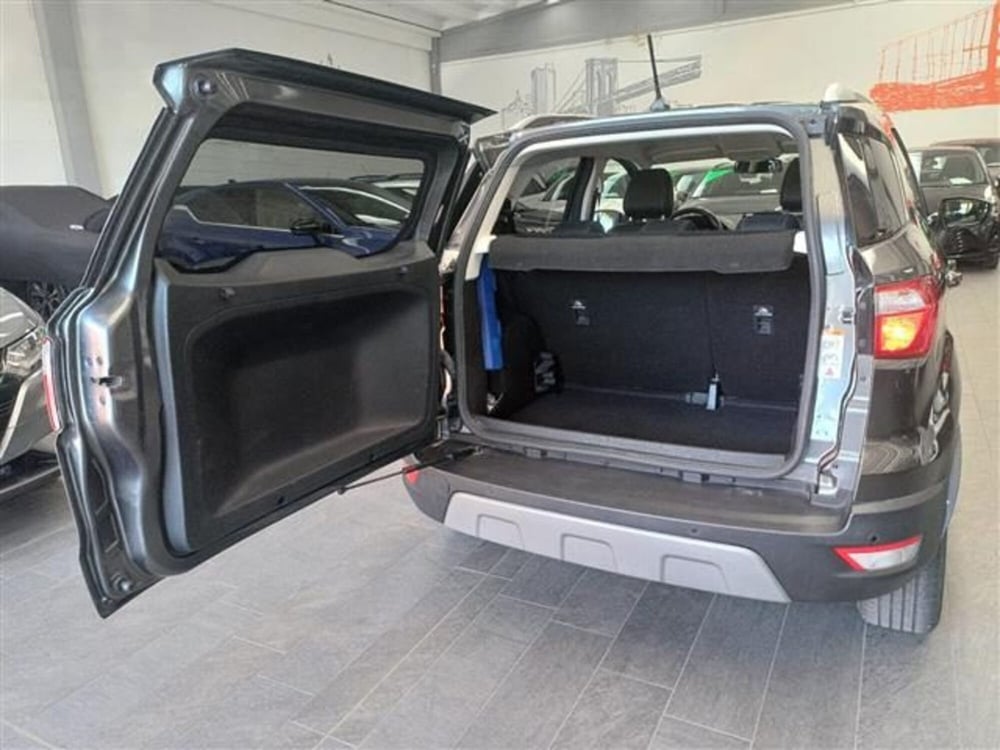 Ford EcoSport usata a Cremona (10)