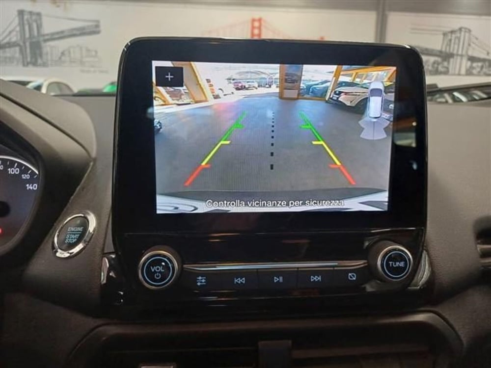 Ford EcoSport usata a Cremona (15)